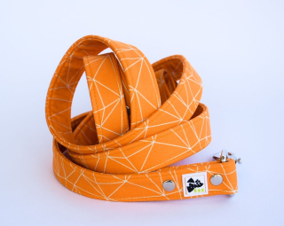 Pumpkin - vodítko